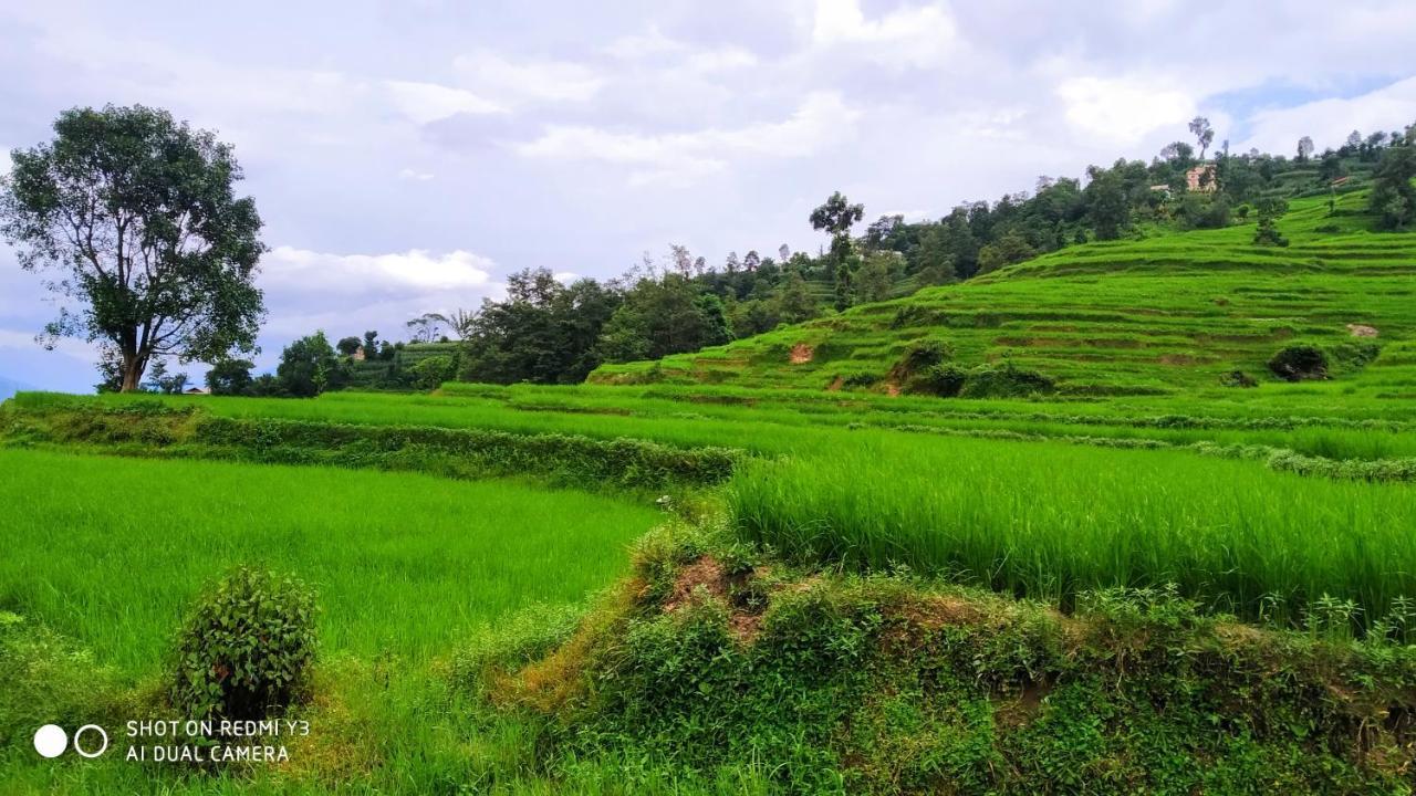 Patlekhet Eco Farmhouse Dhulikhel Exterior foto