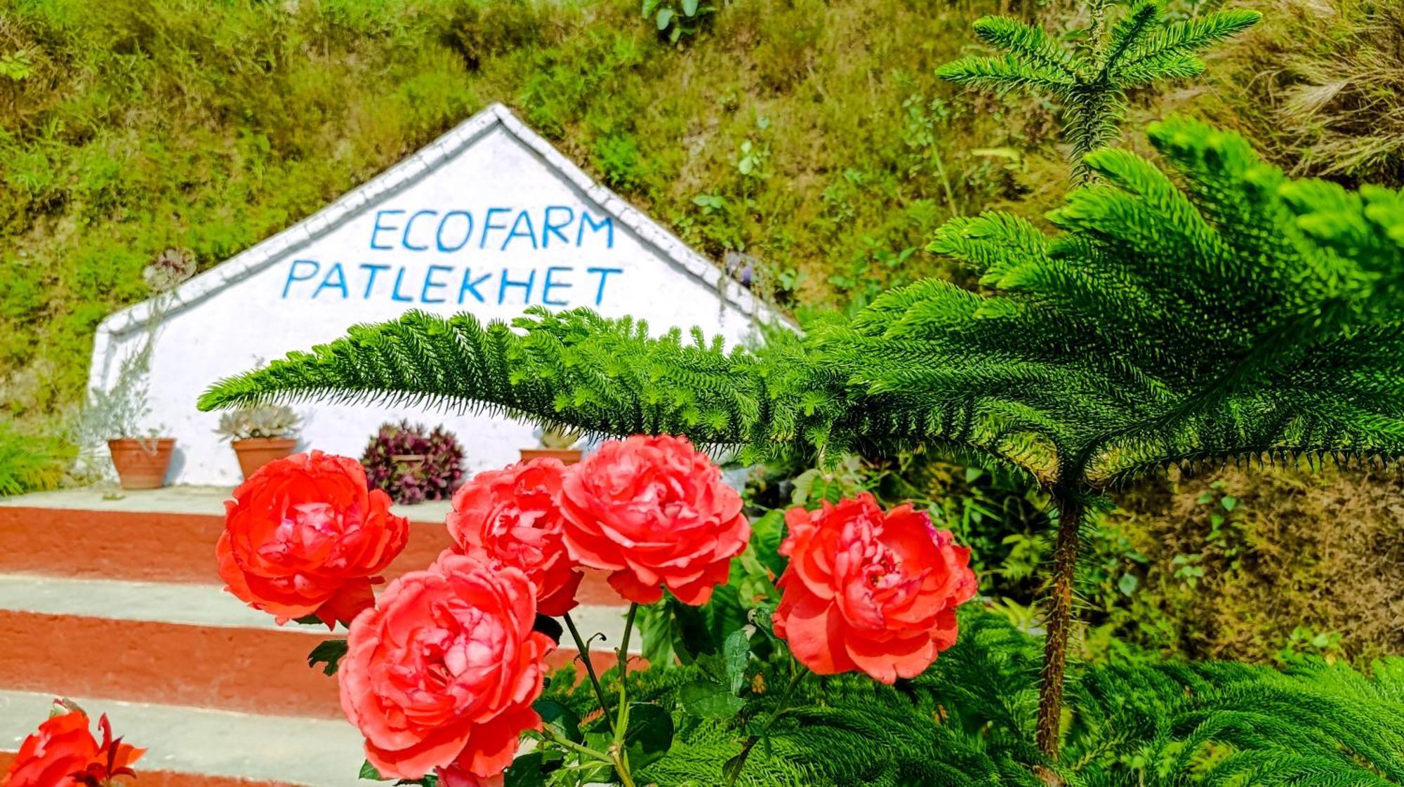 Patlekhet Eco Farmhouse Dhulikhel Exterior foto